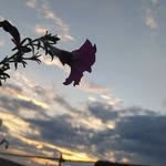 Shay - @shay.curtis__n.7r.__ - Instagram