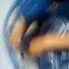 shaydias115 - @shaydias115 - TikTok