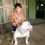 @lucas_shay - Instagram