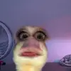 Shays_spam!!! - @shaylucas5 - TikTok