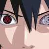 shaymalul585 - @shaymalul585 - TikTok