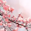 Shay Mann - @shay.mann7 - TikTok