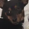 shaylynnmoreno123 - @shaylynnmoreno123 - TikTok