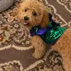 shaymorgan591 - @shaymorgan591 - TikTok
