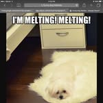 Shay Nelson - @kittycatdoglover2244ashlyn - Instagram