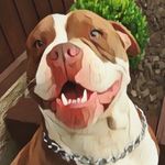 Shay Reed - @shay.reed2022 - Instagram