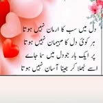 shayre_e_dill - @shayre_e_dill - Instagram