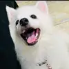 shay.young - @shay.young - TikTok