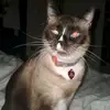 Shayla 🤍 - @shayla._carter - TikTok