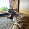 Shayla Floyd - @shayla.floyd4 - TikTok