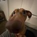 Shayla Ashley - Facebook