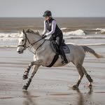 Shayla James 🏴󠁧󠁢󠁷󠁬󠁳󠁿 - @sj_showjumping_ - Instagram