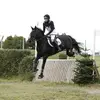Shayla James - @eventing_mycob - TikTok