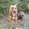 shaylarichards947 - @shaylarichards947 - TikTok