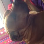 Shayla Rose Raharaha Baird - @shaylaroseraharahabaird2048 - Instagram