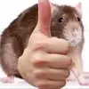 shayleebaker668 - @shayleebaker668 - TikTok