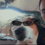 Shaylee Iles Watts - Facebook