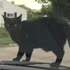 shaylynwilliams32 - @shaylynn685 - TikTok