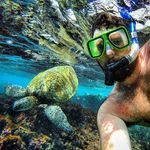Shayne Alexander - @shizaam - Instagram
