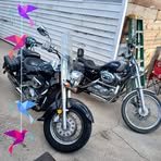 Shane Buckley - Facebook