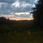 Shane Buckley - @shane_buckley_ - Instagram