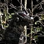 Shane Ellis - @number_one_shane_ellis - Instagram