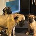 Shayne Ellis - Facebook