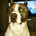 Shane Fields - @shane_granite - Instagram