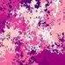 Shane Fields - Facebook