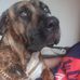Shane Heaps - Facebook