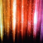 Shayne Huntsford - @shaynehuntsford - Instagram