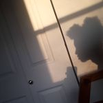 Shane Keith - @keith_shane - Instagram