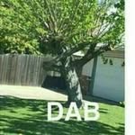 Shayne Rogers - @memes_are_lit1 - Instagram