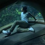 Shayne Ross - @shayne.ross.984 - Instagram