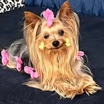 Shayne Scott - @shayne.scott.125 - Instagram