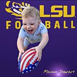 Shayne Stewart - @tigernation1693 - Instagram