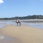 Shayne Wilson - @shayne.wilson.733 - Instagram