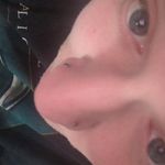 Shayne Wilson - @shayne_wilson7 - Instagram