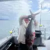 Shayne Wilson - @shayne.wilson0 - TikTok