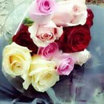 Shaadow Kerresh - @shaadowkerresh - Instagram