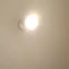 shea daniels - @shea.barr1 - TikTok