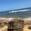 Brady Shea - @brady.shea1 - TikTok
