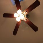 Bryant Shea - @bryant.shea.50 - Instagram
