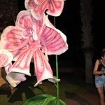 shea burns - @burns3306ses - Instagram