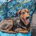 Shea Callahan - Facebook