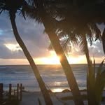 Julie Shea Crocker - @juliesheacrocker - Instagram