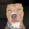 Shea Hall - @clout.clips01 - TikTok
