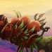 Shea Jones - Facebook