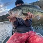 Shea Moore - @liprippersbasstime - Instagram
