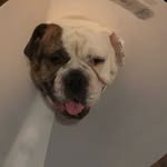 daniel Shea perkins - @danielsperk - Instagram